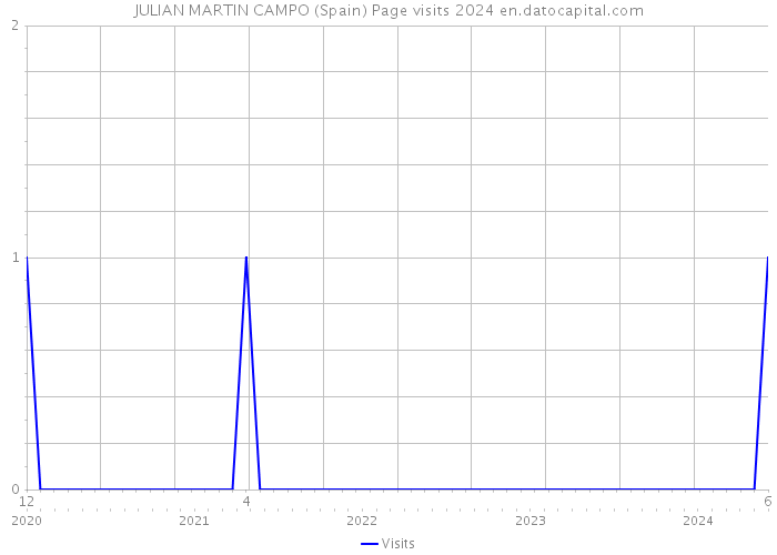 JULIAN MARTIN CAMPO (Spain) Page visits 2024 