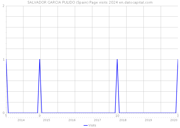 SALVADOR GARCIA PULIDO (Spain) Page visits 2024 