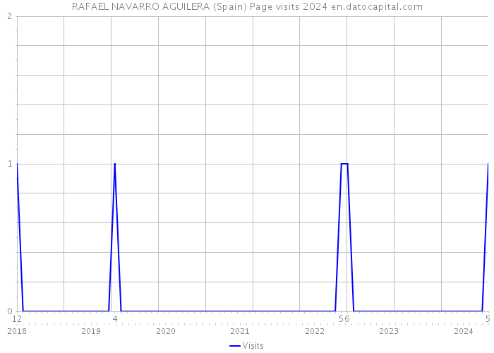 RAFAEL NAVARRO AGUILERA (Spain) Page visits 2024 