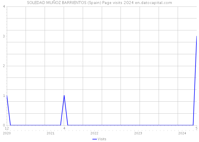 SOLEDAD MUÑOZ BARRIENTOS (Spain) Page visits 2024 