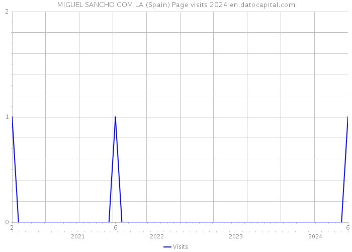 MIGUEL SANCHO GOMILA (Spain) Page visits 2024 