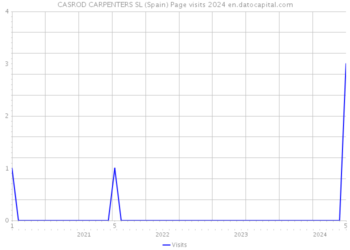 CASROD CARPENTERS SL (Spain) Page visits 2024 