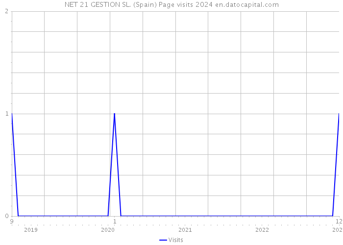 NET 21 GESTION SL. (Spain) Page visits 2024 
