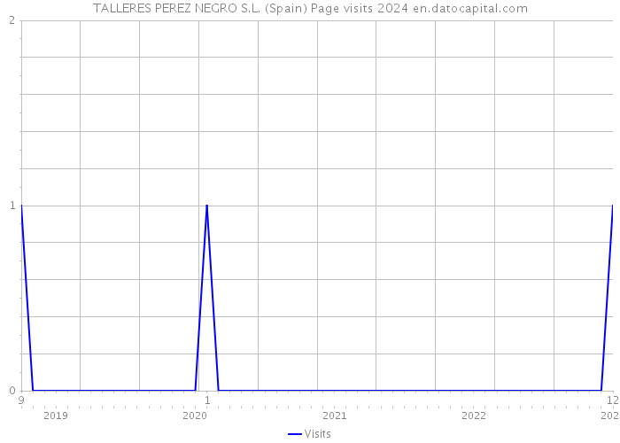 TALLERES PEREZ NEGRO S.L. (Spain) Page visits 2024 