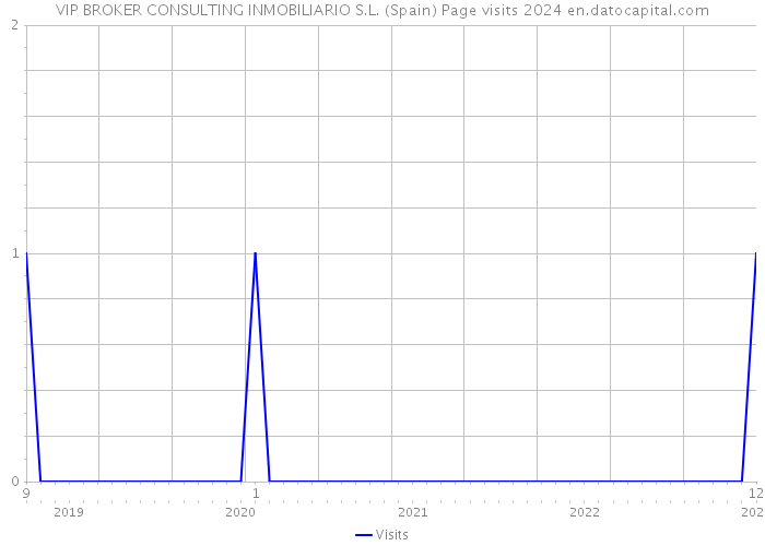 VIP BROKER CONSULTING INMOBILIARIO S.L. (Spain) Page visits 2024 