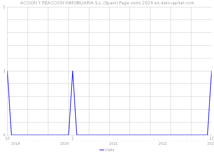 ACCION Y REACCION INMOBILIARIA S.L. (Spain) Page visits 2024 