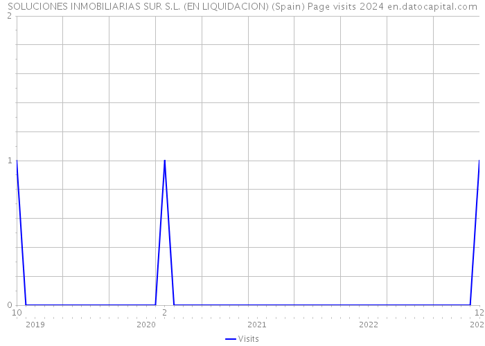 SOLUCIONES INMOBILIARIAS SUR S.L. (EN LIQUIDACION) (Spain) Page visits 2024 