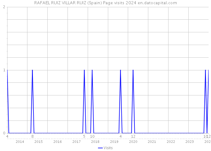 RAFAEL RUIZ VILLAR RUIZ (Spain) Page visits 2024 
