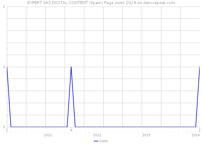 EXPERT SAS DIGITAL CONTENT (Spain) Page visits 2024 