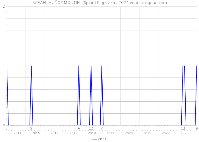 RAFAEL MUÑOZ MONTIEL (Spain) Page visits 2024 