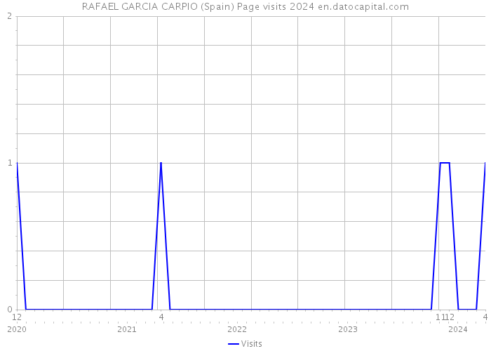 RAFAEL GARCIA CARPIO (Spain) Page visits 2024 