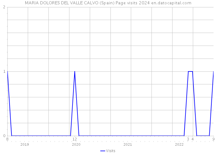 MARIA DOLORES DEL VALLE CALVO (Spain) Page visits 2024 