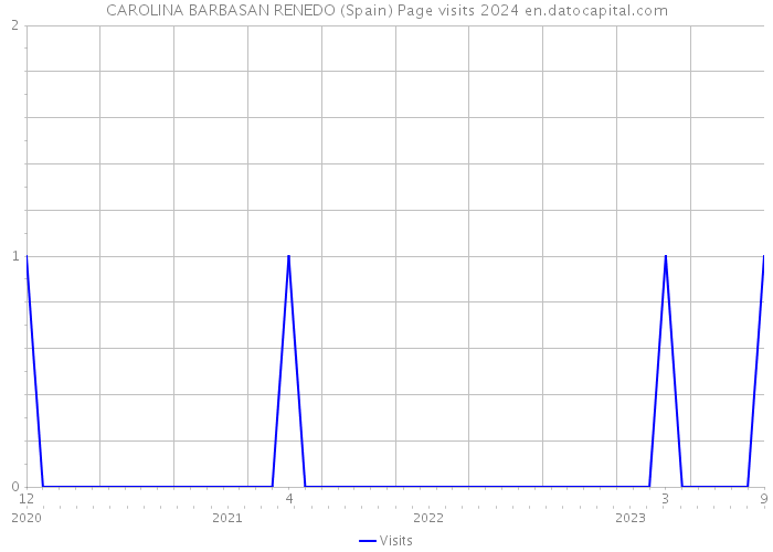 CAROLINA BARBASAN RENEDO (Spain) Page visits 2024 