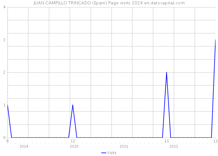 JUAN CAMPILLO TRINCADO (Spain) Page visits 2024 