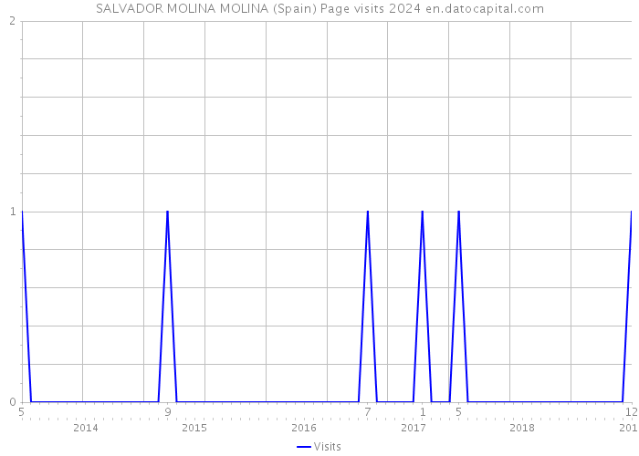 SALVADOR MOLINA MOLINA (Spain) Page visits 2024 