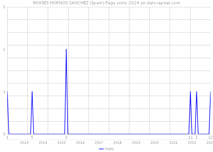 MOISES HORNOS SANCHEZ (Spain) Page visits 2024 