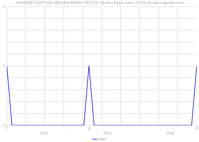 ANGELES CASTILLA SEGURA MARIA DE LOS (Spain) Page visits 2024 