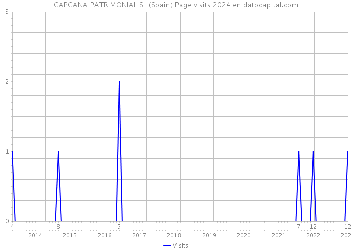 CAPCANA PATRIMONIAL SL (Spain) Page visits 2024 