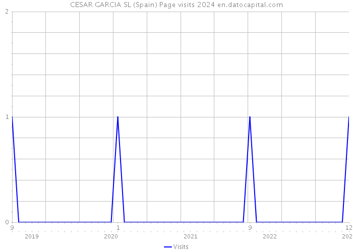 CESAR GARCIA SL (Spain) Page visits 2024 