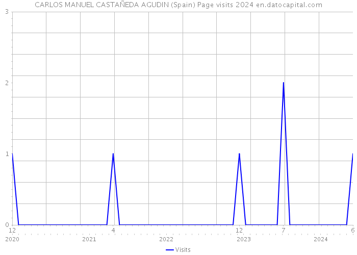 CARLOS MANUEL CASTAÑEDA AGUDIN (Spain) Page visits 2024 