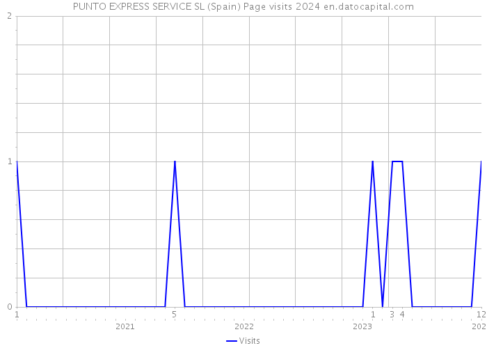 PUNTO EXPRESS SERVICE SL (Spain) Page visits 2024 