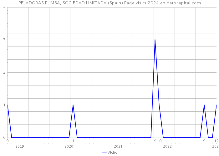 PELADORAS PUMBA, SOCIEDAD LIMITADA (Spain) Page visits 2024 