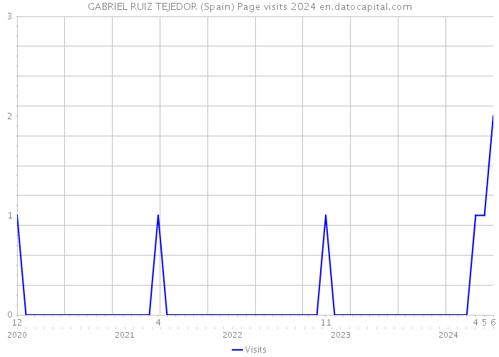 GABRIEL RUIZ TEJEDOR (Spain) Page visits 2024 