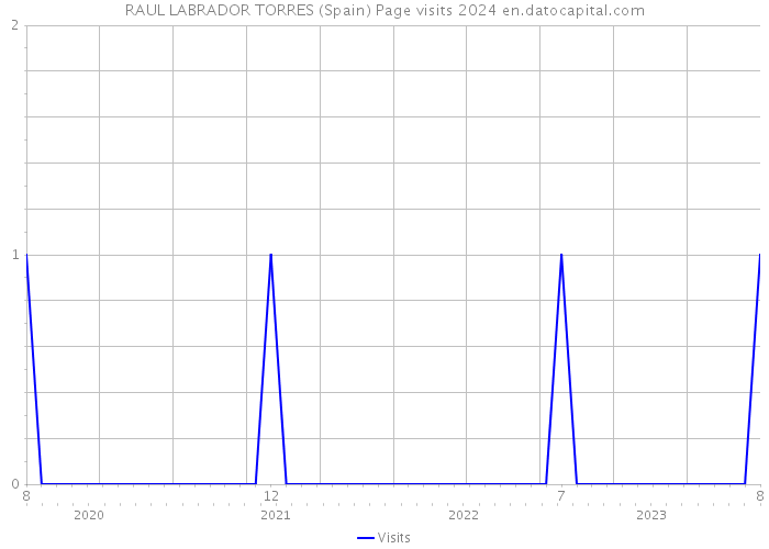 RAUL LABRADOR TORRES (Spain) Page visits 2024 