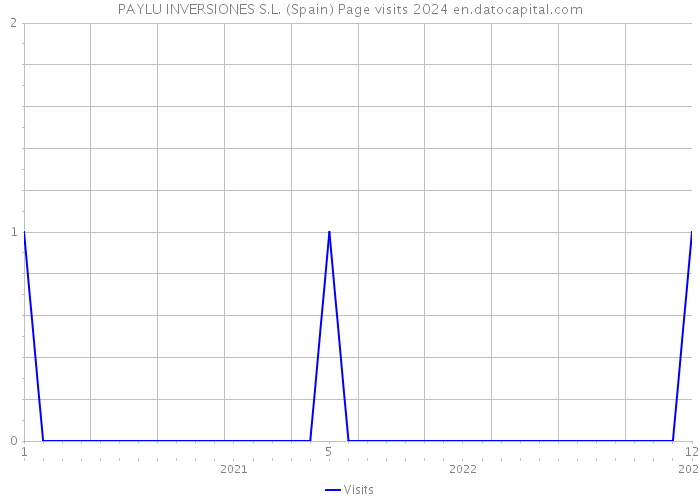 PAYLU INVERSIONES S.L. (Spain) Page visits 2024 