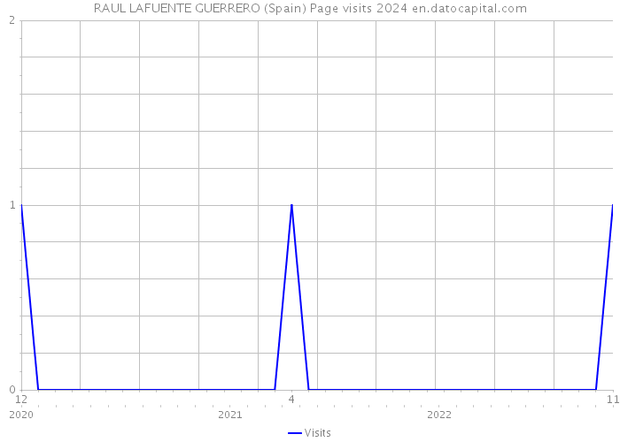 RAUL LAFUENTE GUERRERO (Spain) Page visits 2024 