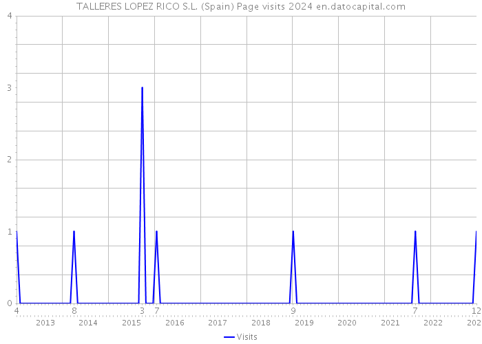 TALLERES LOPEZ RICO S.L. (Spain) Page visits 2024 