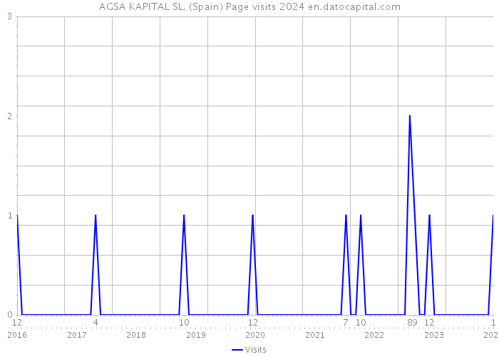AGSA KAPITAL SL. (Spain) Page visits 2024 