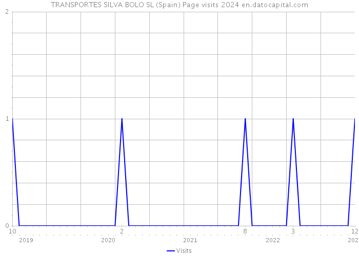 TRANSPORTES SILVA BOLO SL (Spain) Page visits 2024 
