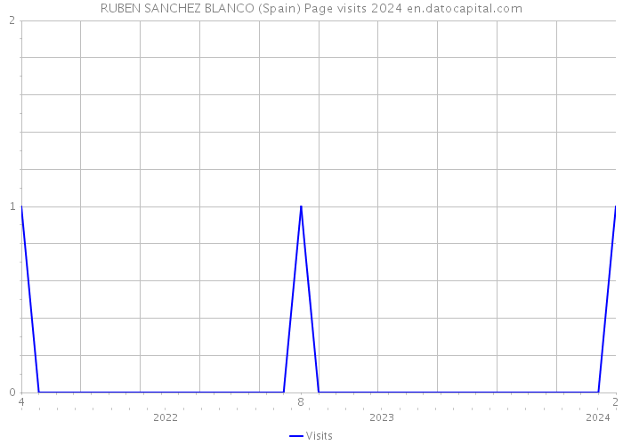 RUBEN SANCHEZ BLANCO (Spain) Page visits 2024 