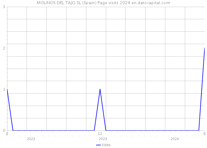 MOLINOS DEL TAJO SL (Spain) Page visits 2024 