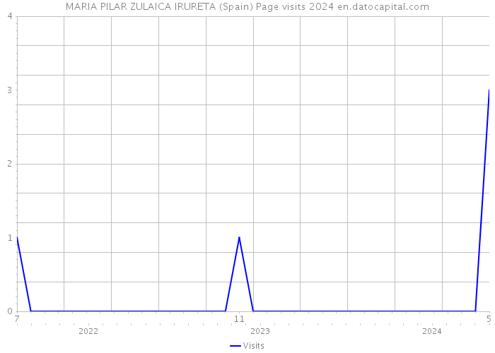 MARIA PILAR ZULAICA IRURETA (Spain) Page visits 2024 