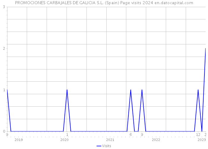PROMOCIONES CARBAJALES DE GALICIA S.L. (Spain) Page visits 2024 