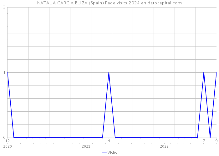 NATALIA GARCIA BUIZA (Spain) Page visits 2024 