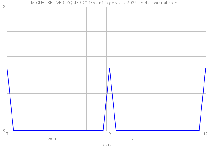MIGUEL BELLVER IZQUIERDO (Spain) Page visits 2024 