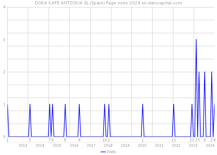 DOKA KAFE ANTZOKIA SL (Spain) Page visits 2024 