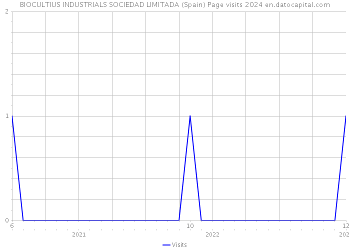 BIOCULTIUS INDUSTRIALS SOCIEDAD LIMITADA (Spain) Page visits 2024 
