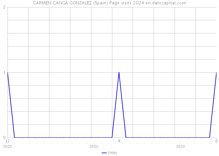 CARMEN CANGA GONZALEZ (Spain) Page visits 2024 