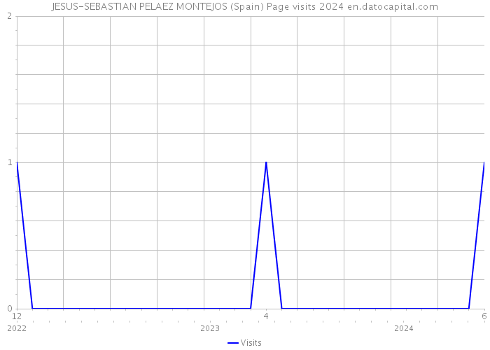 JESUS-SEBASTIAN PELAEZ MONTEJOS (Spain) Page visits 2024 