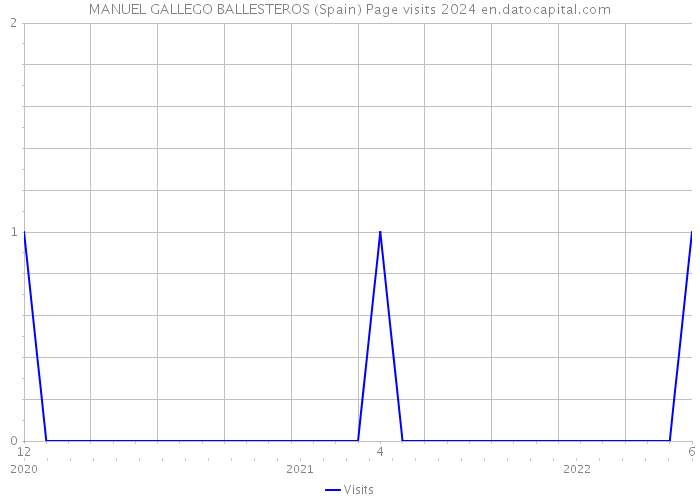 MANUEL GALLEGO BALLESTEROS (Spain) Page visits 2024 