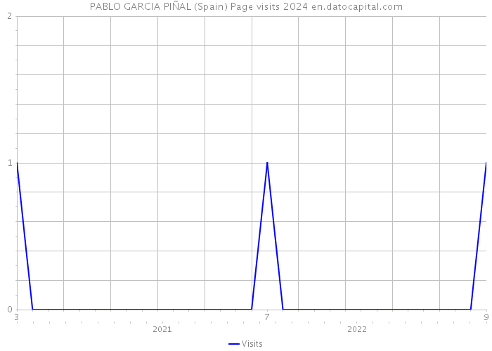 PABLO GARCIA PIÑAL (Spain) Page visits 2024 