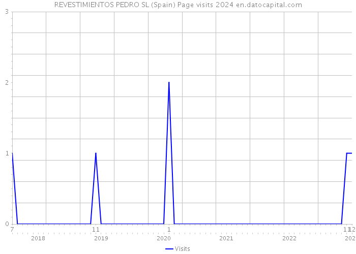 REVESTIMIENTOS PEDRO SL (Spain) Page visits 2024 