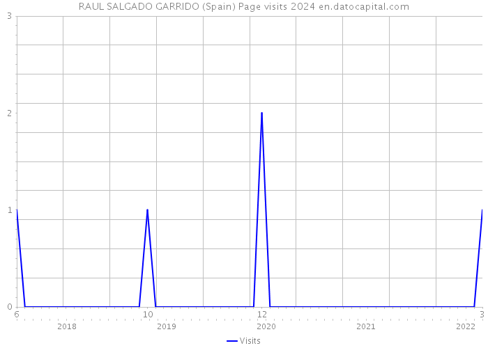 RAUL SALGADO GARRIDO (Spain) Page visits 2024 