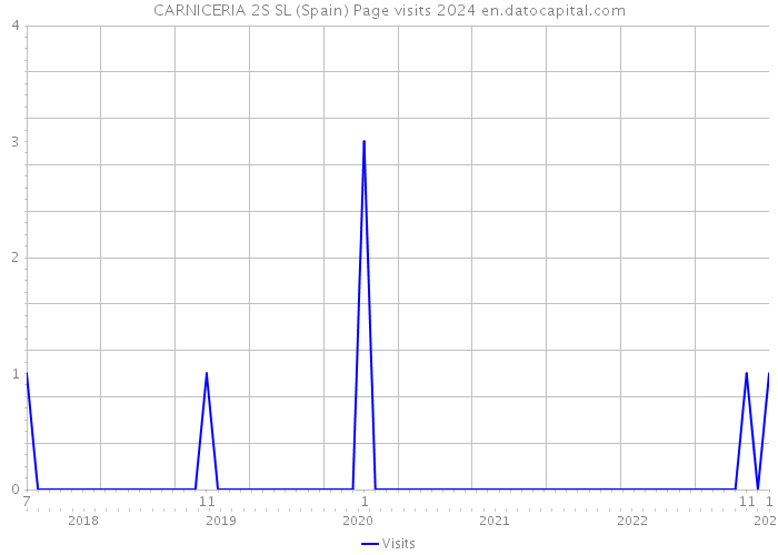CARNICERIA 2S SL (Spain) Page visits 2024 