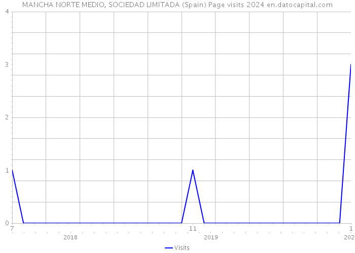 MANCHA NORTE MEDIO, SOCIEDAD LIMITADA (Spain) Page visits 2024 