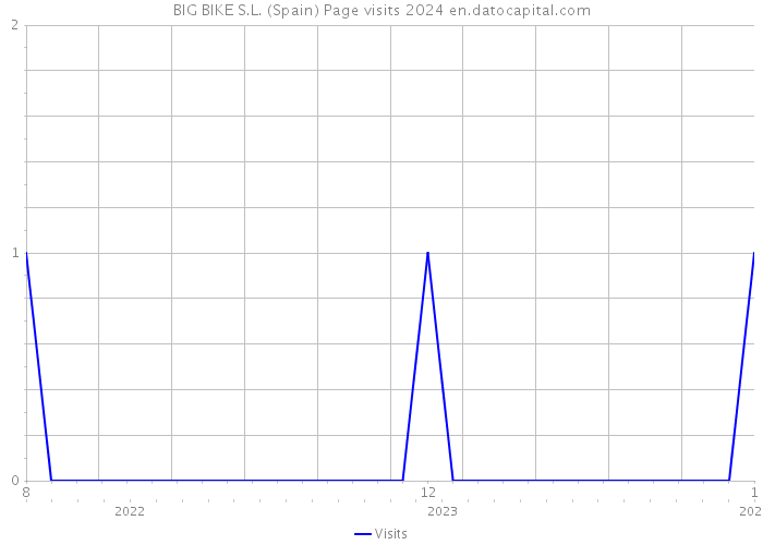 BIG BIKE S.L. (Spain) Page visits 2024 
